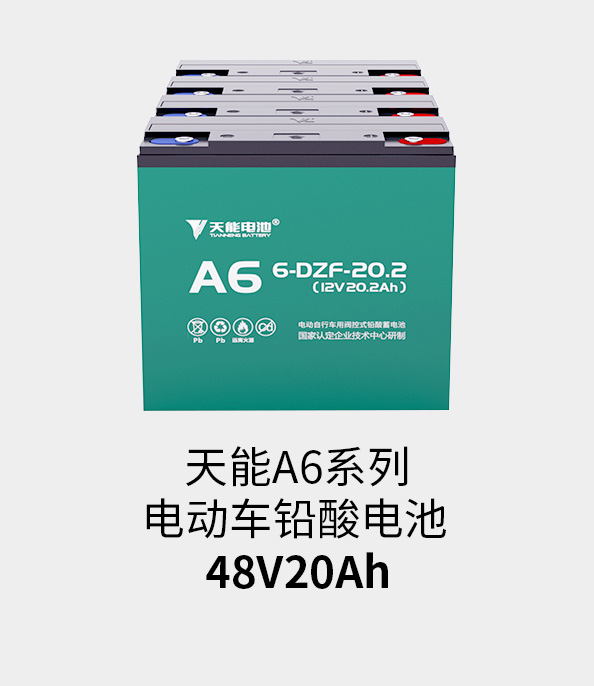 合乐HL8电池48v20ah